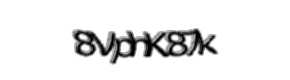 Security check image, please type the characters shown