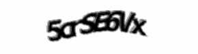 Security check image, please type the characters shown